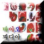 20100207-0E0CA55A2B.png