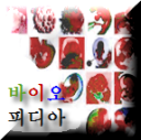 20100207-99E3BA1FE2.png
